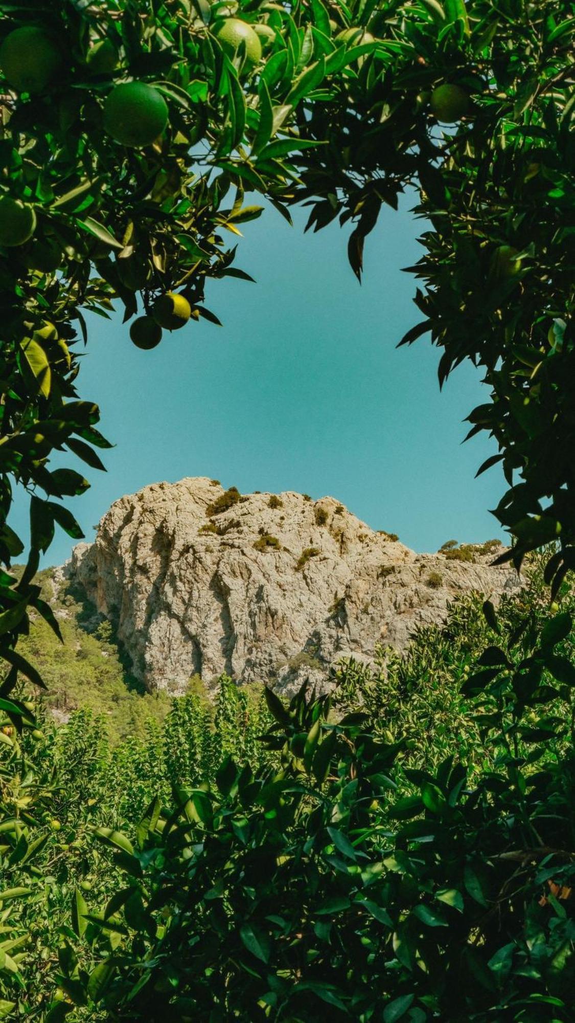 Sheriff, Olympos Kumluca Dış mekan fotoğraf